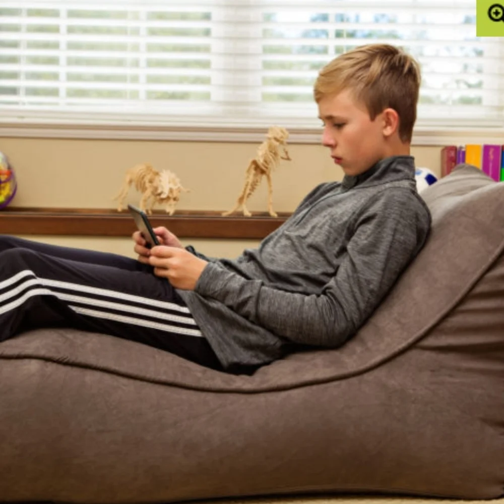 🌲 The Slacker bean bag chair - Picture 2 of 4